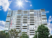 Thumbnail 19 of 25 - A tall building with an American flag on the side is surrounded by trees and flowers.