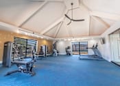 Thumbnail 55 of 65 - a gym with cardio machines and weights on a blue floor