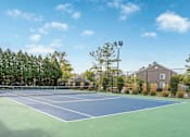 Thumbnail 21 of 46 - A tennis court surrounded by trees and a residential area.