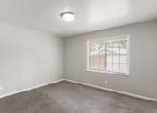 Thumbnail 21 of 69 - an empty room with carpet and a window