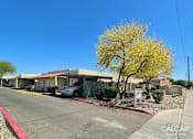 Thumbnail 18 of 18 - A sunny day at a commercial property with a yellow tree in front.