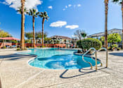 Thumbnail 15 of 20 - A pool surrounded by palm trees and a clear blue sky.
