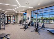 Thumbnail 11 of 21 - a gym with weights and cardio equipment and large windowsat Sterling Nashville West Apartments, Nashville, 37209