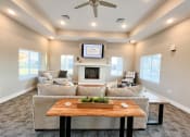 Thumbnail 6 of 16 - a living room with couches and a table in front of a fireplace