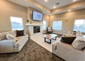 Thumbnail 7 of 16 - a living room with couches and a tv and a fireplace