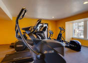 Thumbnail 14 of 35 - The fitness center at Olde English Village, offering exercise machines and free weights for residents.