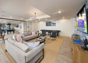 Thumbnail 68 of 69 - clubhouse entertainment room