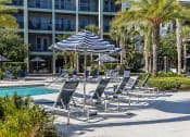 Thumbnail 14 of 69 - a group of lounge chairs and an umbrella next to a swimming pool