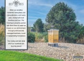 Thumbnail 21 of 26 - Beehive