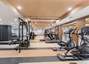 Thumbnail 51 of 66 - A gym with treadmills, elliptical machines, and a bench press.