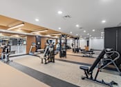 Thumbnail 50 of 66 - A gym with a variety of equipment including treadmills, weights, and exercise machines.