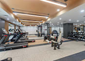 Thumbnail 48 of 66 - A gym with treadmills, weights, and exercise machines.