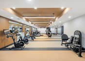 Thumbnail 52 of 66 - A gym with a variety of exercise equipment including treadmills, stationary bikes, and weight machines.