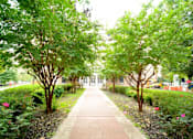 Thumbnail 16 of 22 - a sidewalk with trees on both sides
