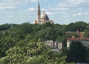 Thumbnail 9 of 19 - Roof Deck View