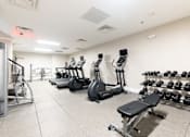 Thumbnail 18 of 22 - the gym at the preserve at great pond apartments in windsor, ct