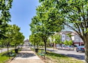 Thumbnail 11 of 11 - a picture of a park with trees and cars at Windsor Crossing Senior, Suitland 