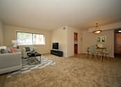 Thumbnail 14 of 19 - A living room with a white couch and a grey rug.