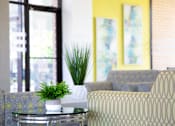 Thumbnail 23 of 46 - A potted plant sits on a glass table between two patterned chairs.
