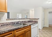 Thumbnail 21 of 29 - A kitchen with a granite countertop and a dishwasher.