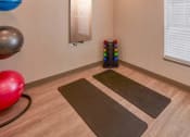 Thumbnail 12 of 14 - two yoga mats on the floor in a room with a yoga ball and a window
