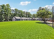 Thumbnail 5 of 40 - A large grassy field with a fence and trees in the background.