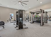 Thumbnail 29 of 44 - A gym with a variety of equipment including a treadmill, weights, and a bench.