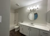 Thumbnail 35 of 37 - bathroom with spacious storage at Palmetto Place, Fort Mill, SC 29708