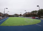 Thumbnail 5 of 37 - community sports field at Palmetto Place, Fort Mill, SC 29708