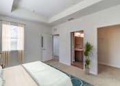 Thumbnail 17 of 25 - Walk in Closetat Century Avenues Apartments, Florida, 33813