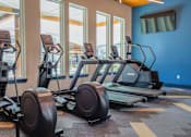 Thumbnail 18 of 36 - A row of elliptical machines are lined up in a gym.