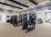 Thumbnail 21 of 27 - Gym at Century Vista Palms, Orlando, Florida