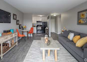 Thumbnail 19 of 27 - a living room with gray walls and a gray couch