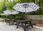 Thumbnail 12 of 19 - three picnic tables with umbrellas in a park