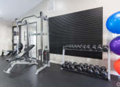 Thumbnail 9 of 19 - the gym with weights and balloons at the preserve at greatstone