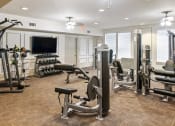 Thumbnail 8 of 22 - a gym with exercise equipment and a television