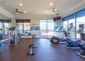Thumbnail 20 of 49 - a gym with cardio machines and weights on the floor and large windows at Century HomePlace, Prattville, AL
