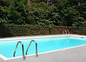 Thumbnail 14 of 18 - A small pool surrounded by trees and bushes.