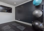 Thumbnail 11 of 27 - a fitness room with two exercise balls and a television