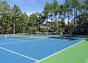 Thumbnail 5 of 24 - A tennis court surrounded by trees on a sunny day.