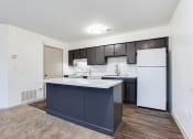 Thumbnail 47 of 52 - Modern Kitchen With Custom Cabinet at Riverwalk Vista, South Carolina, 29210