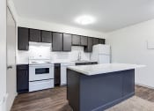 Thumbnail 48 of 52 - Modern Kitchen at Riverwalk Vista, Columbia, SC, 29210