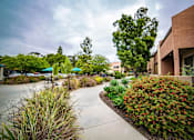 Thumbnail 3 of 18 - a courtyard with plants and a building with umbrellas