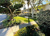 Thumbnail 1 of 22 - Outdoor courtyard space rodesse Property Group Rose Court Apartments 230 Rose CourtCampbell, CA 95008