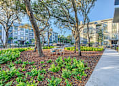Thumbnail 28 of 38 - a park with trees and a sidewalk at The Beck at Hidden River, Tampa, FL, Florida , 33637