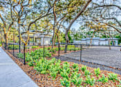 Thumbnail 31 of 38 - Dog park with fence at The Beck at Hidden River, Florida , 33637