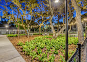 Thumbnail 29 of 38 - a sidewalk in a park with trees and lights at The Beck at Hidden River, Tampa, FL