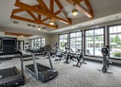 Thumbnail 20 of 26 - A gym with treadmills, elliptical machines, and a television.