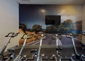 Thumbnail 21 of 36 - a room with a mural on the wall and a row of exercise bikes in front of it at Autumn Park Apartments, Charlotte, NC, 28262