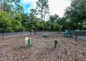 Thumbnail 29 of 29 - Dog Park  at Reserve Bartram Springs, Florida